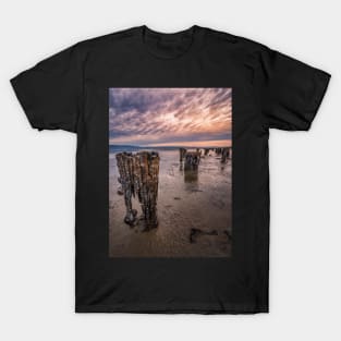 Abandoned Wharf Posts T-Shirt